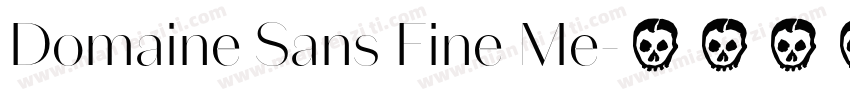 Domaine Sans Fine Me字体转换